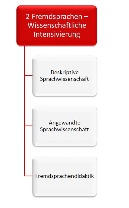 Grafik über die Teilbereiche des Studiums MA ANIS