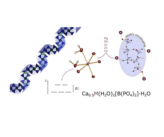Weakly coordinating borophosphates – Ca0.5M(H2O)2[B(PO4)2]·H2O (M = Mg, Mn, Co, Zn, Cd)