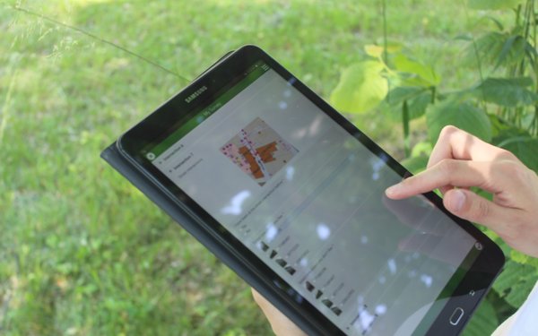 Datenerfassung mit Survey auf Pad Juni 2019