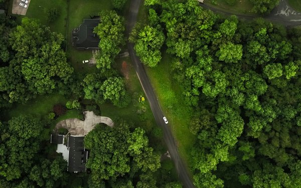 GReen City