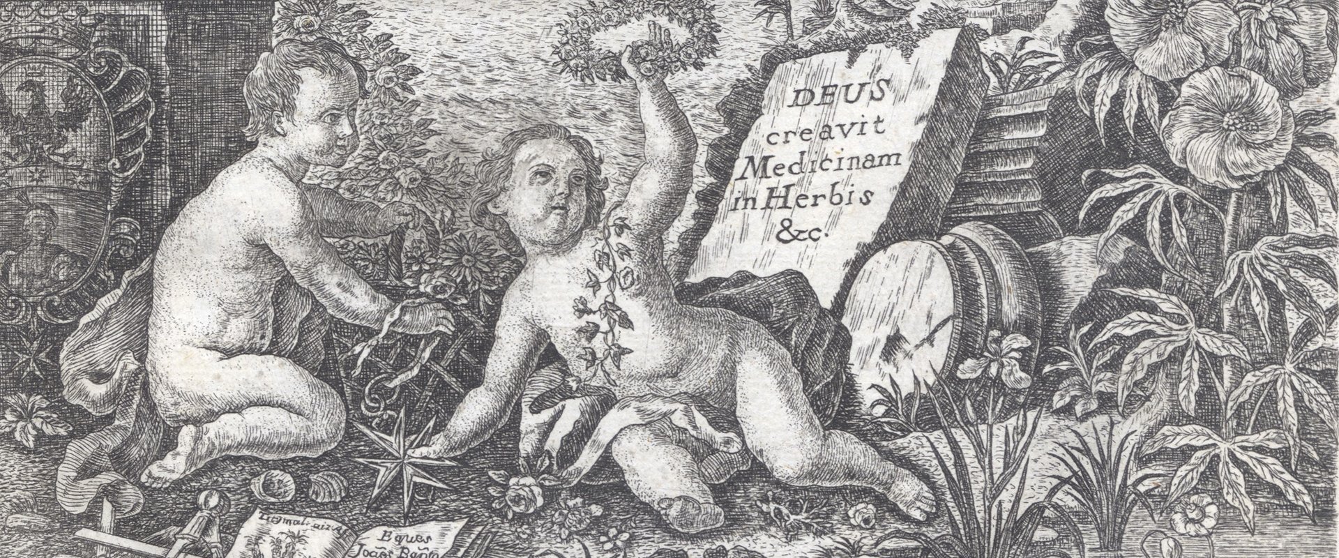 Giambattista Morandi: Historia botanica practica, Mailand 1761