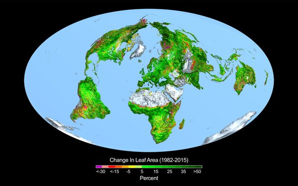 The graph shows trends in global plant productivity, expressed as changes over time in satellite-based measurements of leaf area.