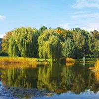 Uni-See mit Kunst- und Musikgebäude im Herbst (Hero)