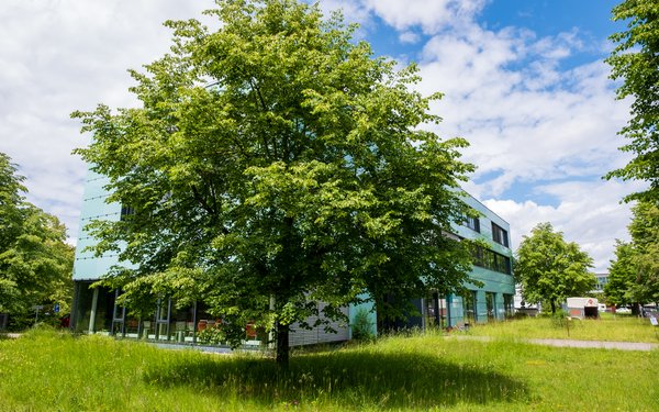 Blick auf die Uni-Heide mit Baum und WZU-Gebäude
