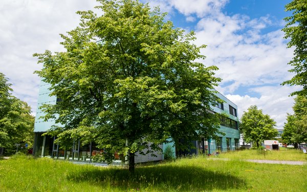 Blick auf die Uni-Heide mit Baum und WZU-Geb?ude