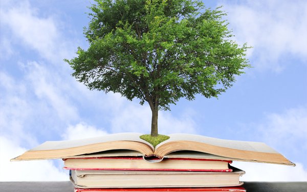 Ein Baum wächst aus einem aufgeschlagenen Buch