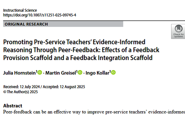 Screenhot Artikel Peer Feedback