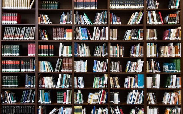 Ein Regal voller Bücher