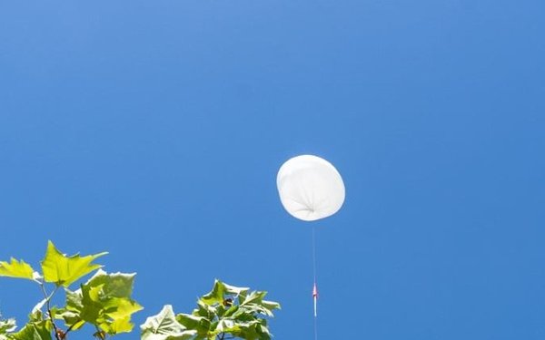 Ein weißer Ballon vor blaume Himmel mit Baumgrün
