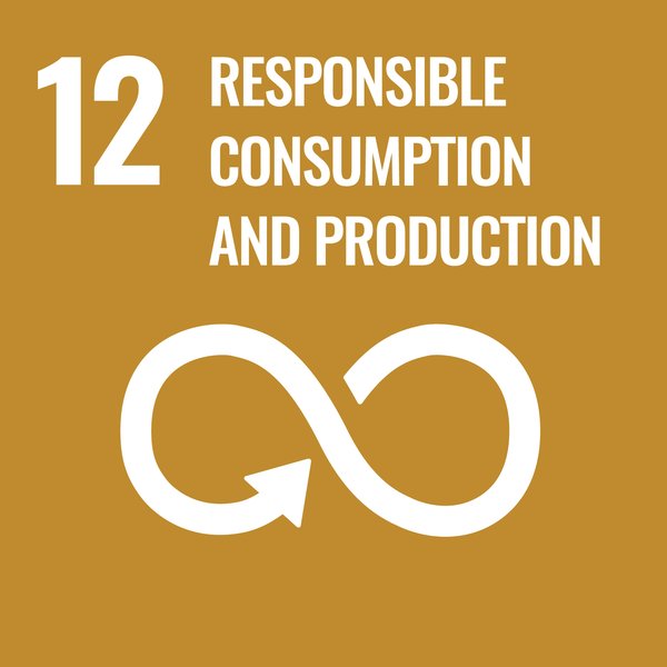 SDG_12_Icon_ENG