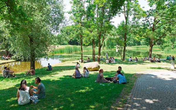 Studierende sitzen in Grüppchen am Unisee