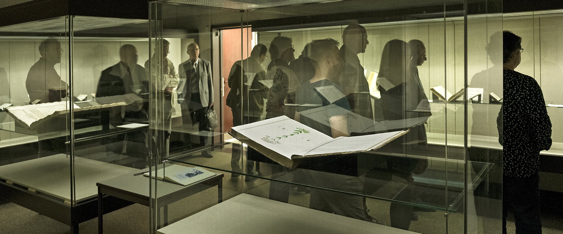 Augsburger Pflanzenbücher Ausstellungseröffnung 2019 Vitrinen
