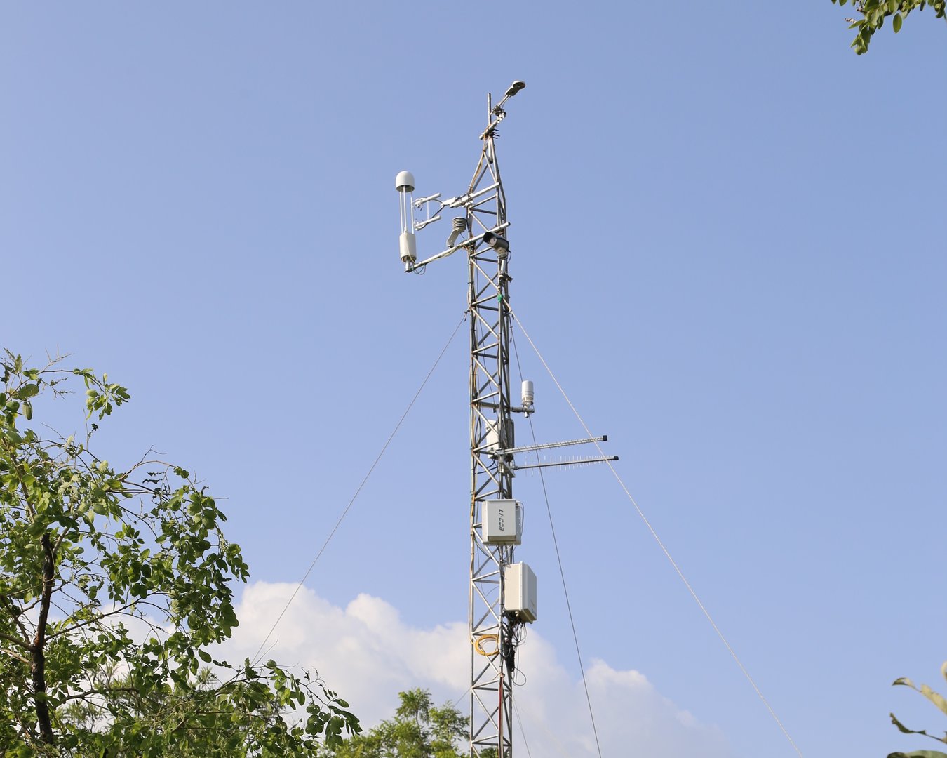 Natural forest reserves as compensation options for methane emissions from rice cultivation. Prof Dr Kunstmann and colleagues have investigated the potential compensation by forests in the semi-arid savannah region of West Africa for the first time.