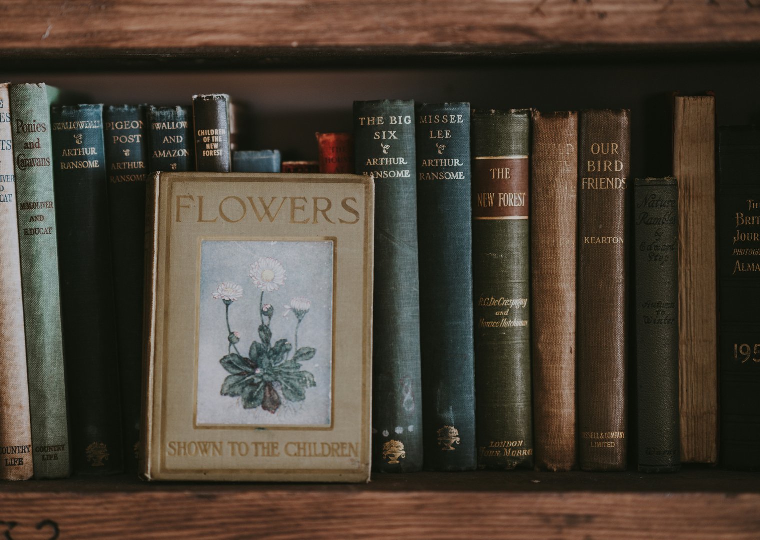 Semester Break Reading Group: "Little Dorrit" by Charles Dickens