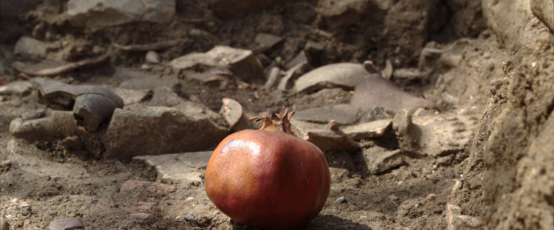 Granatapfel in der Grabungsfläche bei der Ausgrabung in S. Anna, Agrigent