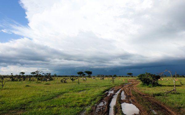 Bild LAndwirtschaft in Kenia