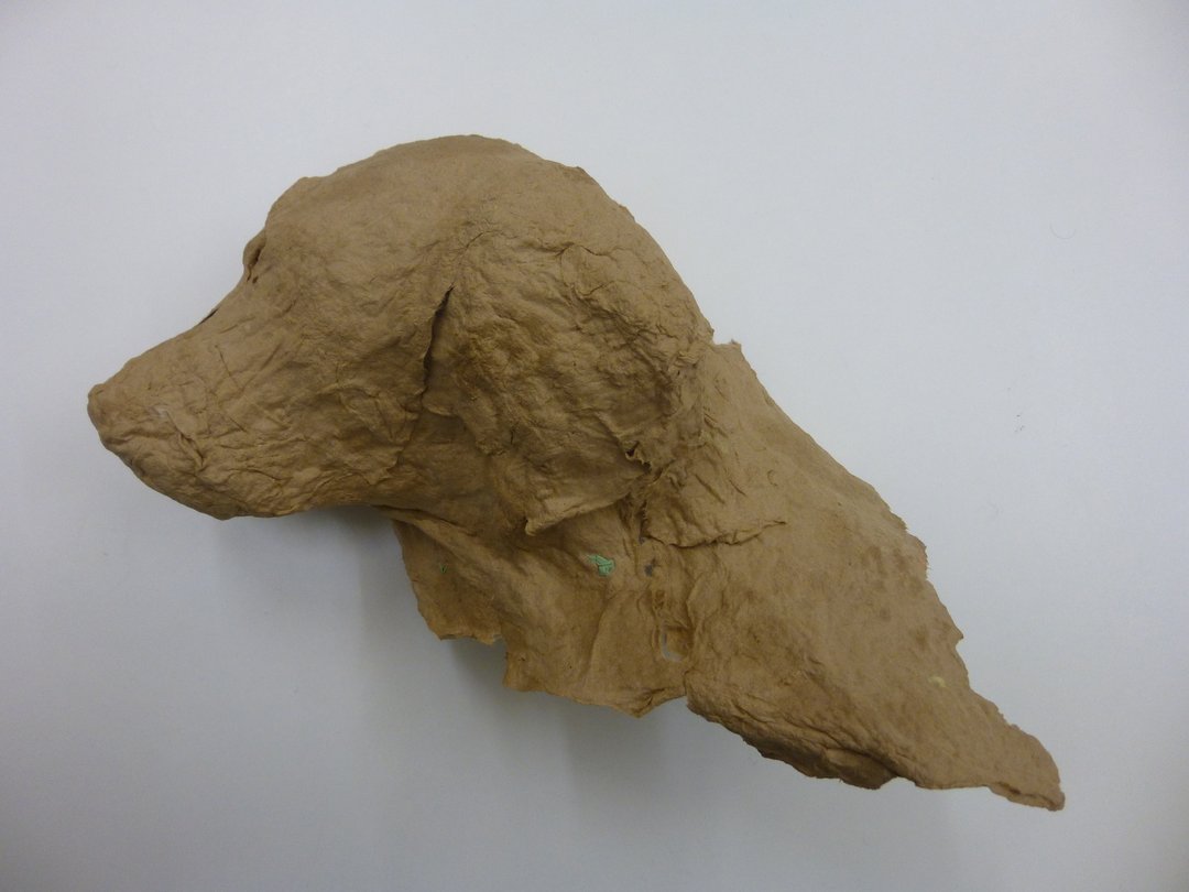 Canis_Augsburgensis_I