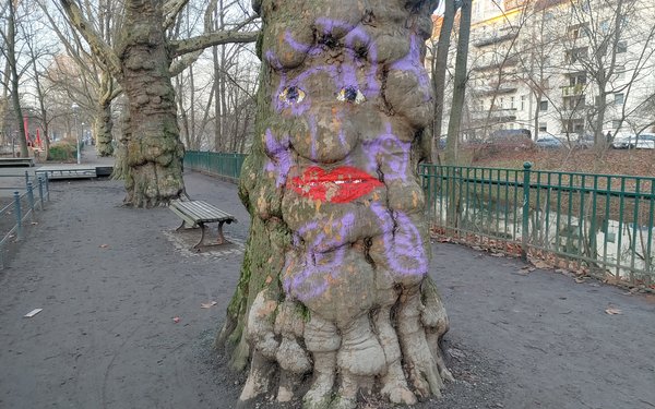 Baum