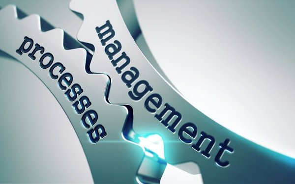 Zwei Zahnräder, die ineinander greifen, mit der Aufschrift management und processes