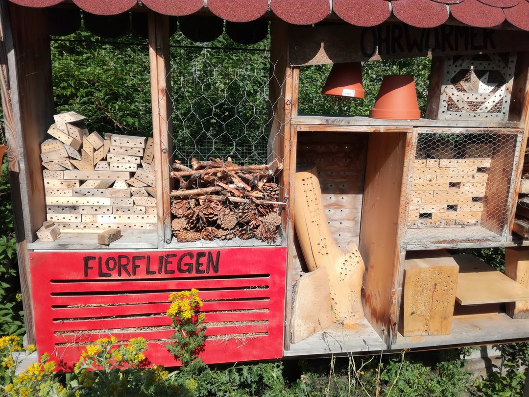 Nahaufnahme eines Insektenhotels auf der Blühwiese des Campus der Universität Augsburg