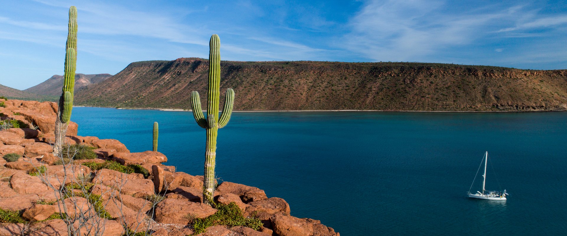 mex