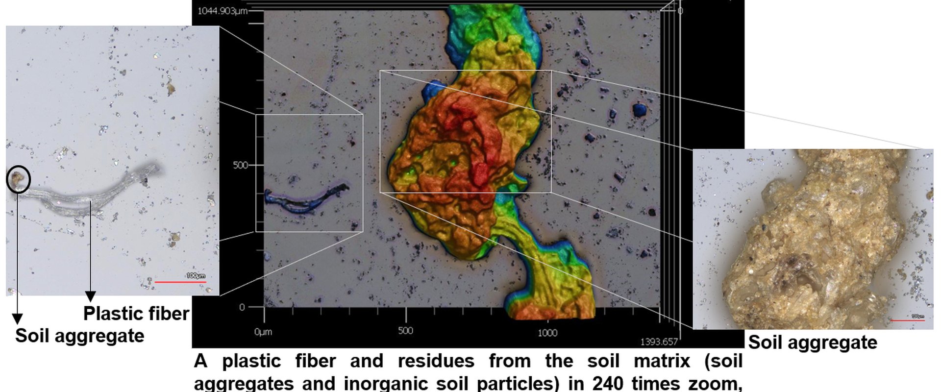 left you can see a plastic fiber, right you can see a soil particle. The background shows further soil particles
