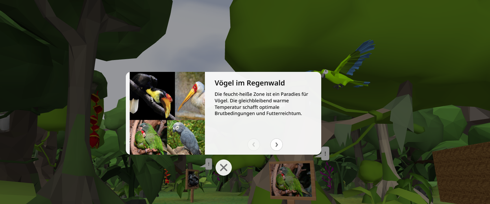 Das Bild zeigt einen Regenwald mit Papageien und anderen Vöglen, die dort leben. In der Mitte des Bildes ist eine Schautafel, mit erklärungen zum Leben von Vögeln im Regenwald.