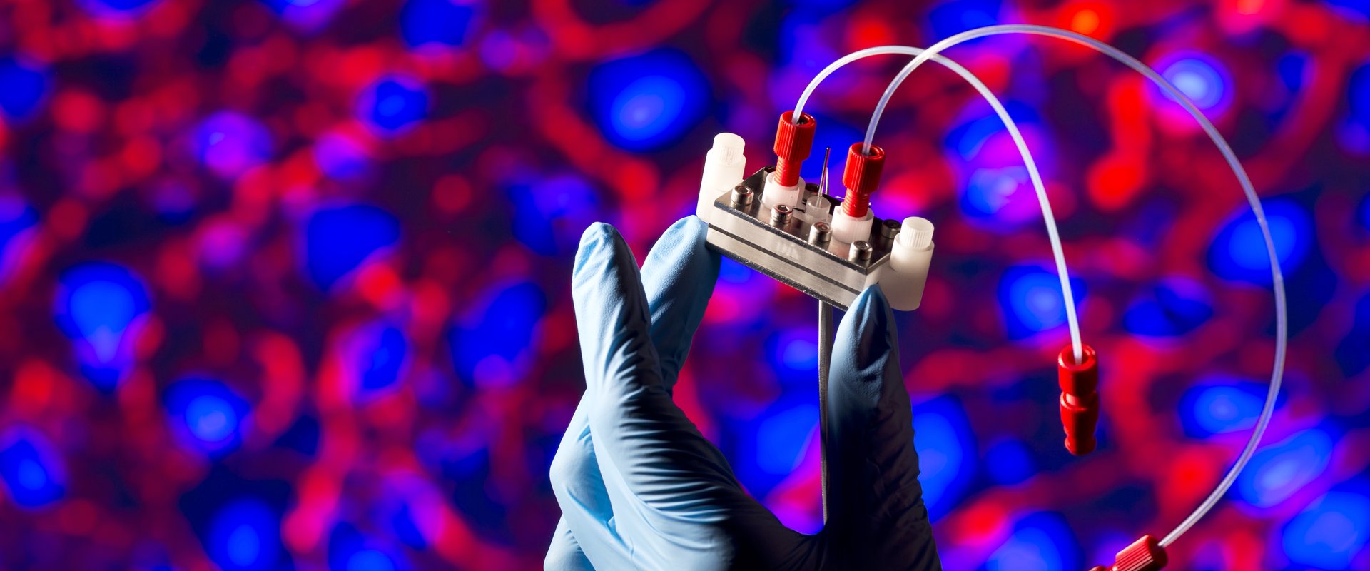 Beamer-Fotos Life Sciences