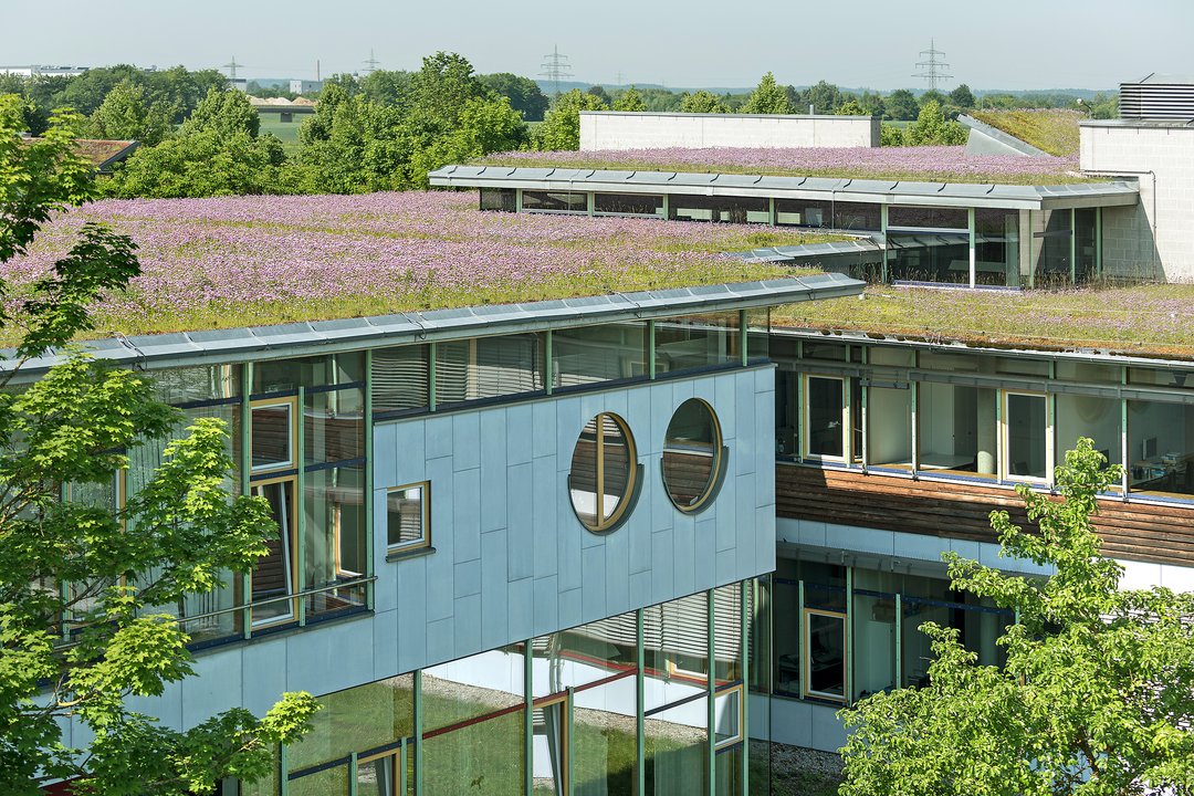 Auf dem Bild sieht man die Außenfassade der Teilbibliothek Sozialwissenschaften mit der Begrünung des Daches.