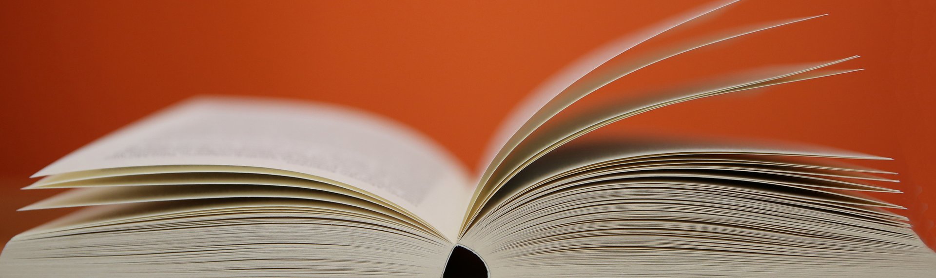 aufgeschlagenes Buch