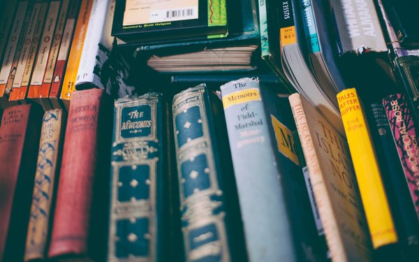Einbringbarkeit - Bücher
