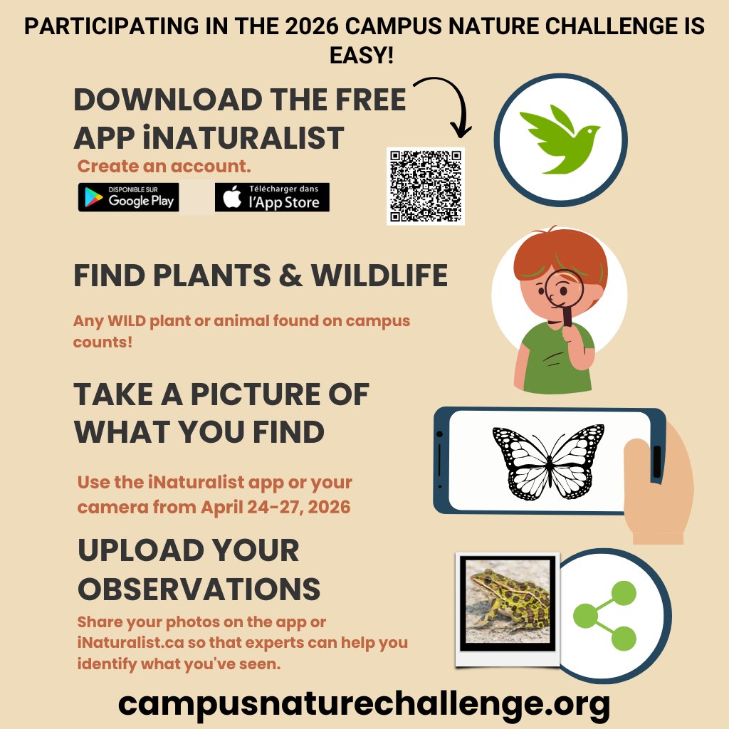 Zu sehen ist die Teilnahmeinfo zur Campus Nature Challenge 2026.