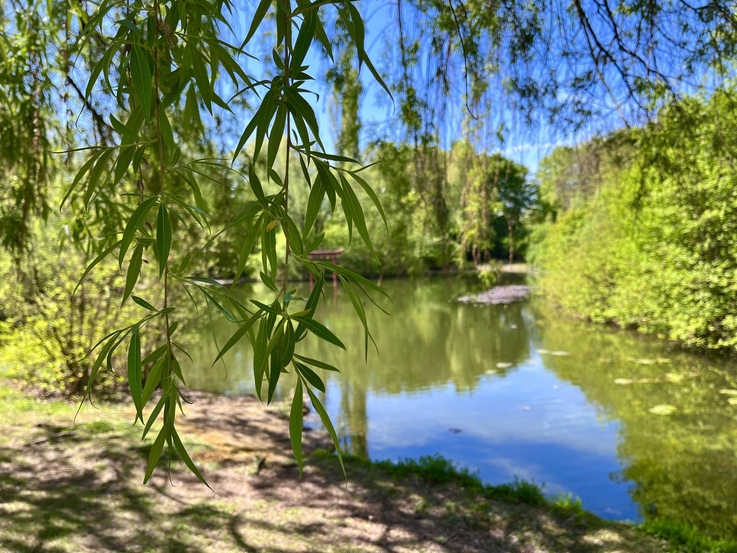 Frühlingsgefühle auf dem Campus