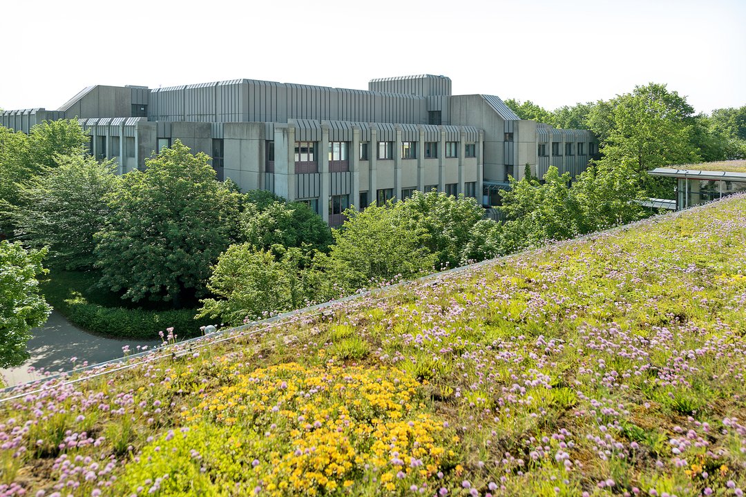 Auf dem Bild sieht man das Gebäude der Zentralbibliothek der Universität Augsburg