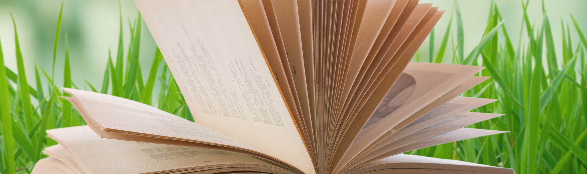 Buch auf Tisch
