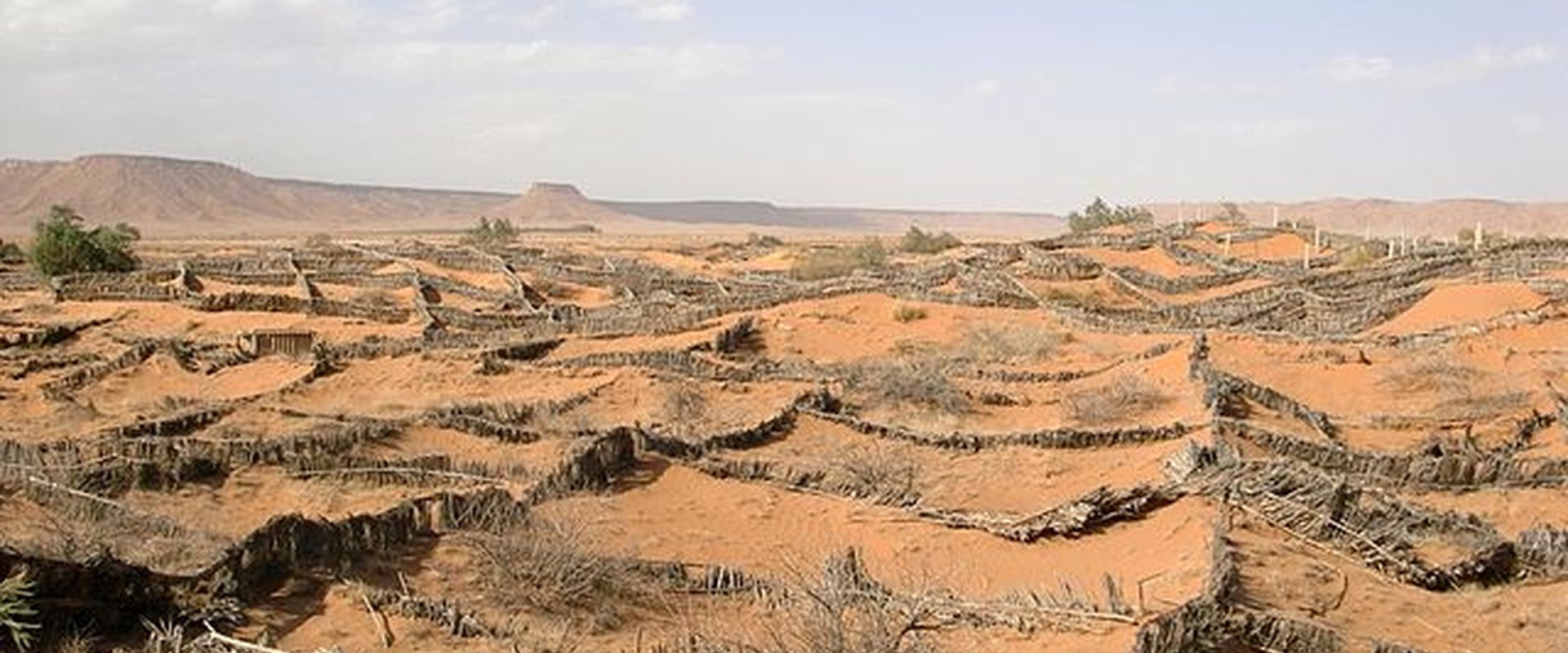 Anti Desertification Sand Fences, Morocco