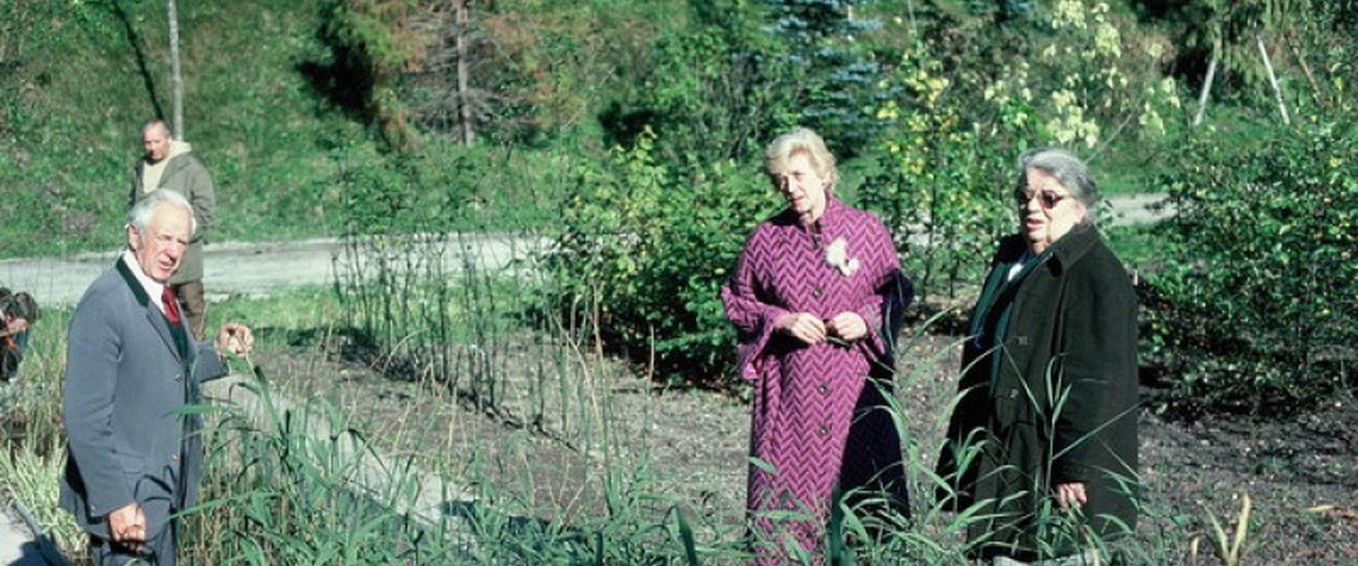 Hundertwasser, Käthe Seidel und zwei weitere Personen stehen vor ein künstlich angelegten Sumpf, in dem Binsen wachsen