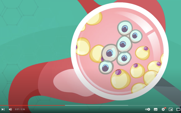 Video Youtube Magenkrebs Forschung