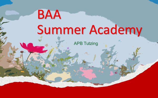 BAA Summer Academy 2026