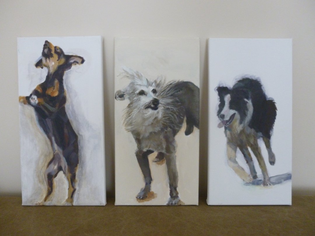 Three dogs without man