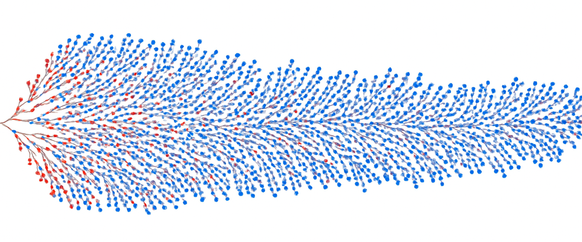 Zufallsgraphen mit Einfrieren