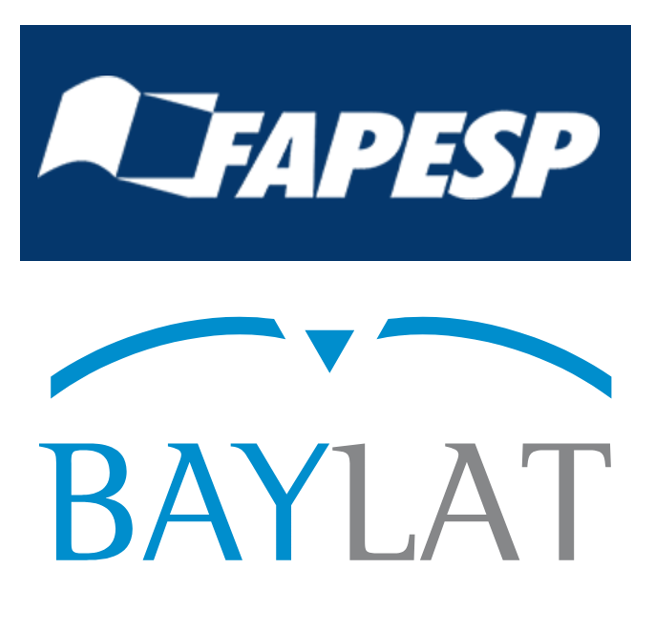 Workshopwoche "Diversität, Mehrsprachigkeit und Sprachkontakt. Linguistische und didaktische Perspektiven" (Baylat/FAPESP)