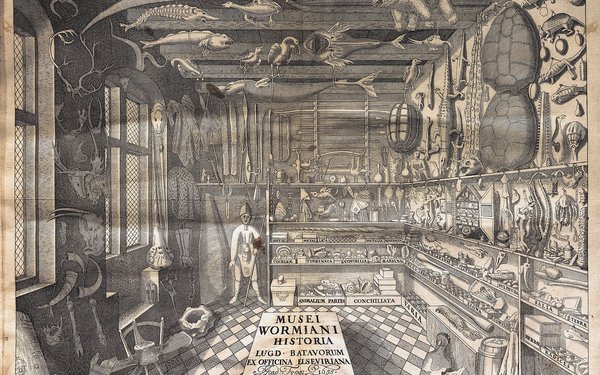 Musei Wormiani Historia