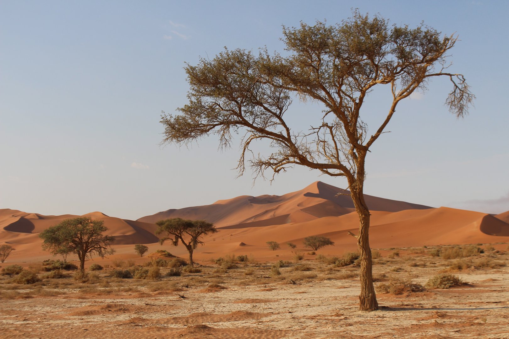 SANDD-Praktikum in Namibia