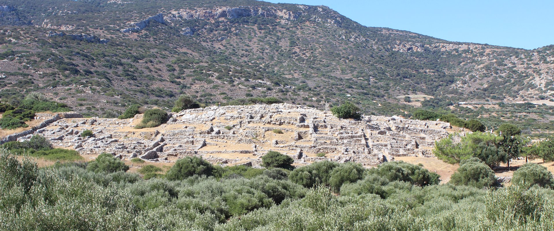Bild der Kreta Exkursion