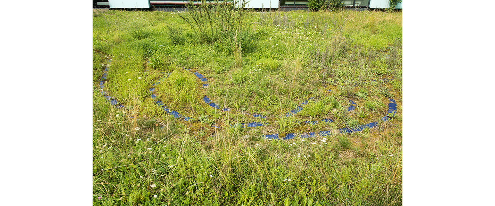 Auf dem Bild sieht man das Kunstwerk Fayencen von Stephan Baumkötter in Form von stückigen Fliesen auf einem Grasboden