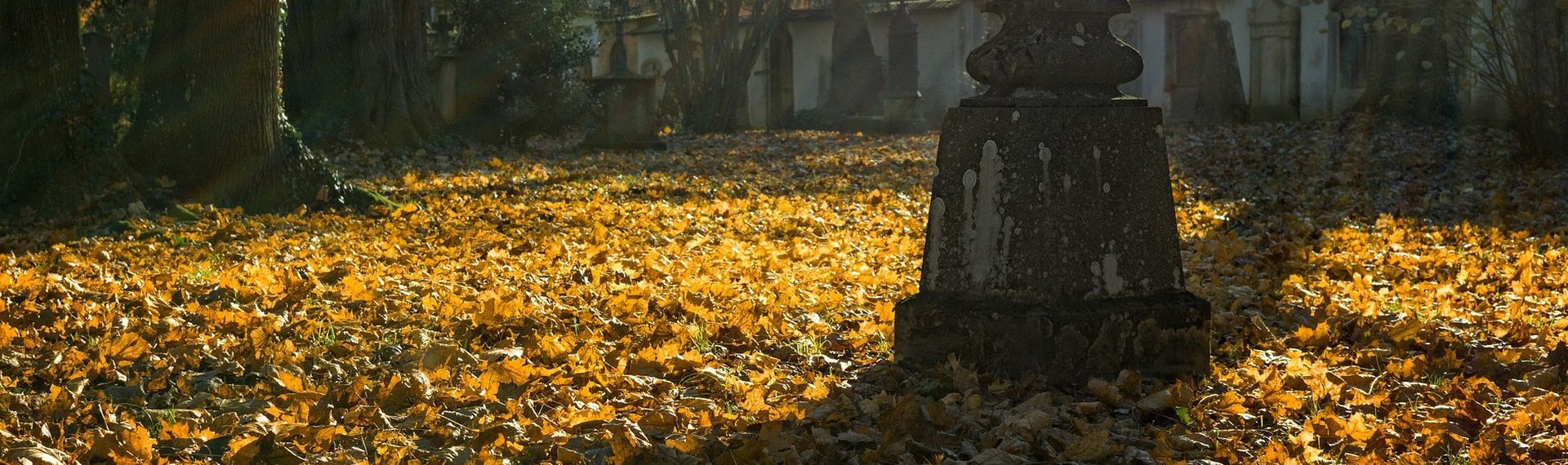 friedhof2 zugeschnitten