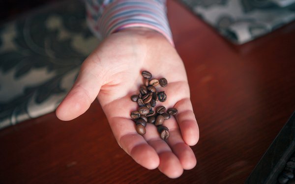 09.12 Kaffeebohne