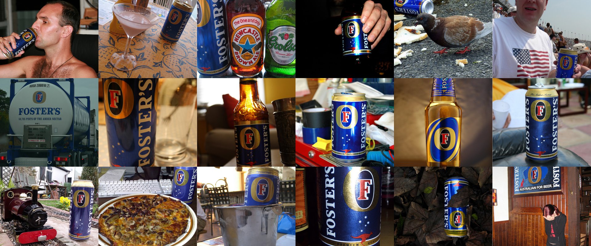 fosters