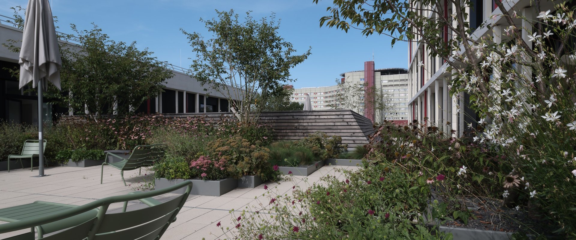 Blick auf den Lesegarten in der neuen Teilbibliothek Medizin